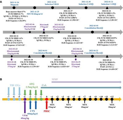 Case Report: CD19 and CD20 monoclonal antibodies with sequential chemotherapy for refractory acute B-lymphocytic leukemia in children